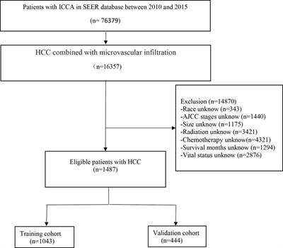 Clinical features and prognostic factors in patients with microvascular infiltration of hepatocellular carcinoma: Development and validation of a nomogram and risk stratification based on the SEER database